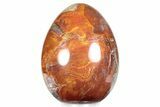 Colorful, Polished Petrified Wood Egg - Madagascar #286062-1